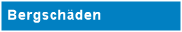 Bergsch�den