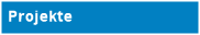 Projekte